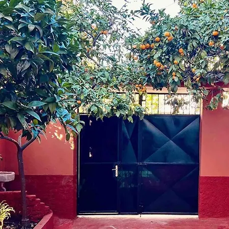 Дом отдыха Zarlett House, Pazari Ri ,villa With Garden,parking *