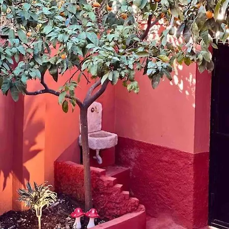 Feriehus Zarlett House, Pazari Ri ,villa With Garden,parking Tirana