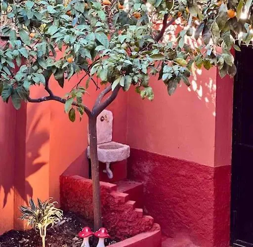 Holiday home Zarlett House, Pazari Ri ,villa With Garden,parking Tirana